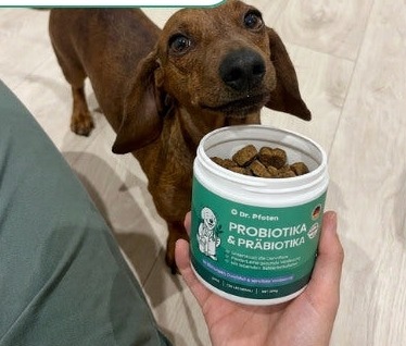 Hund nimmt Dr. Pfoten Leckerli freiwillig an
